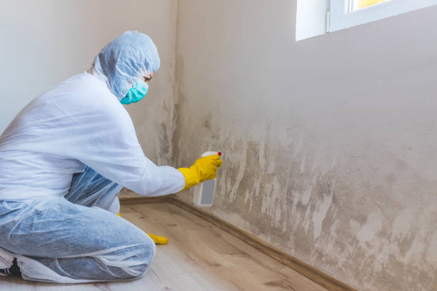 Licensed Commercial Mold Remediation service in Bartlett, TX - WQB Mold Removal