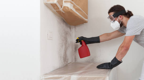 Professional Commercial Mold Remediation technician working in Bartlett, TX