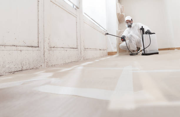 24/7 Emergency Commercial Mold Remediation experts in Bartlett, TX