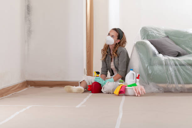 Reliable Commercial Mold Remediation contractor in Bartlett, TX by WQB Mold Removal
